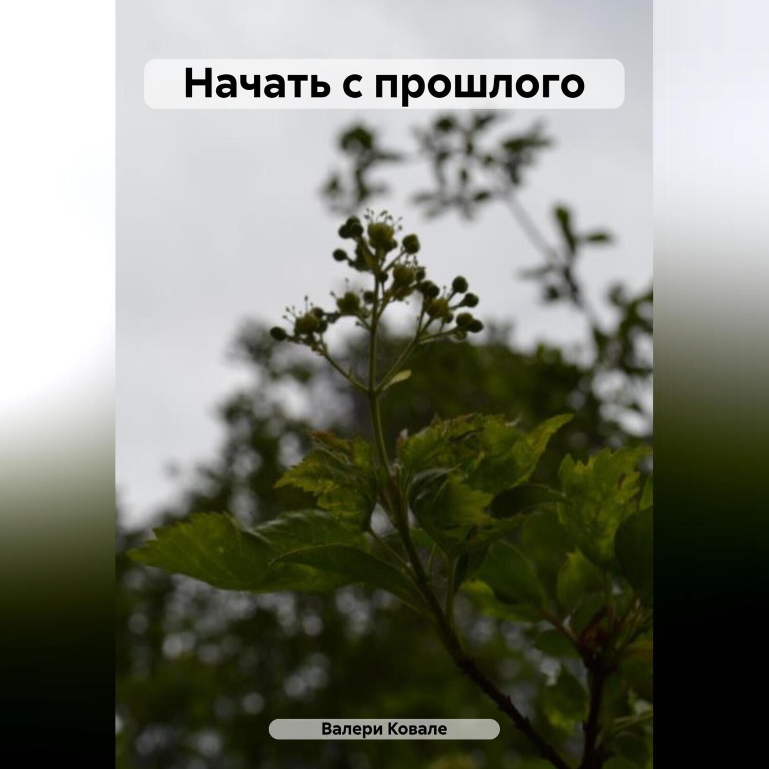 Обложка книги «Начать с прошлого»