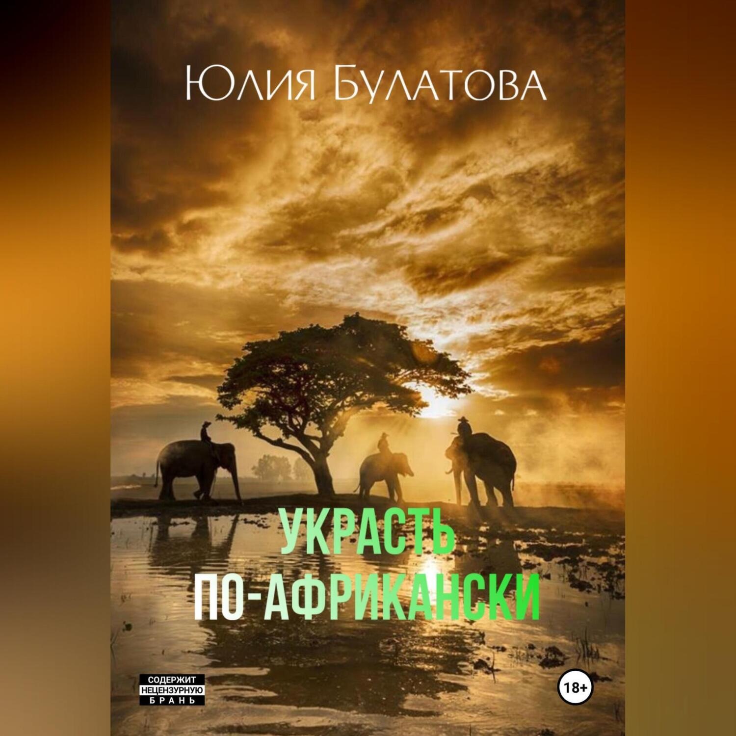 Обложка книги «Украсть по-африкански»