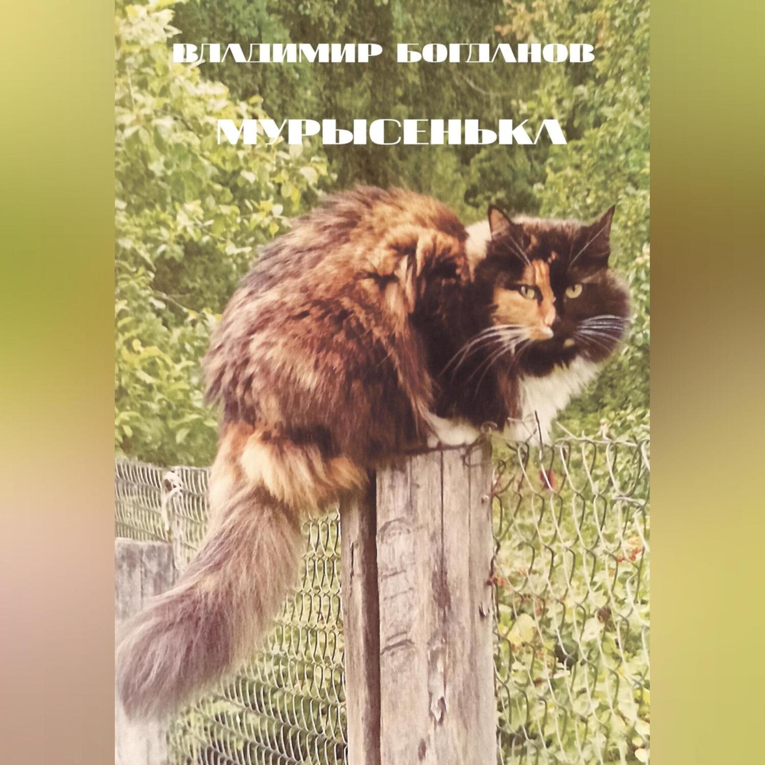Обложка книги «Мурысенька»