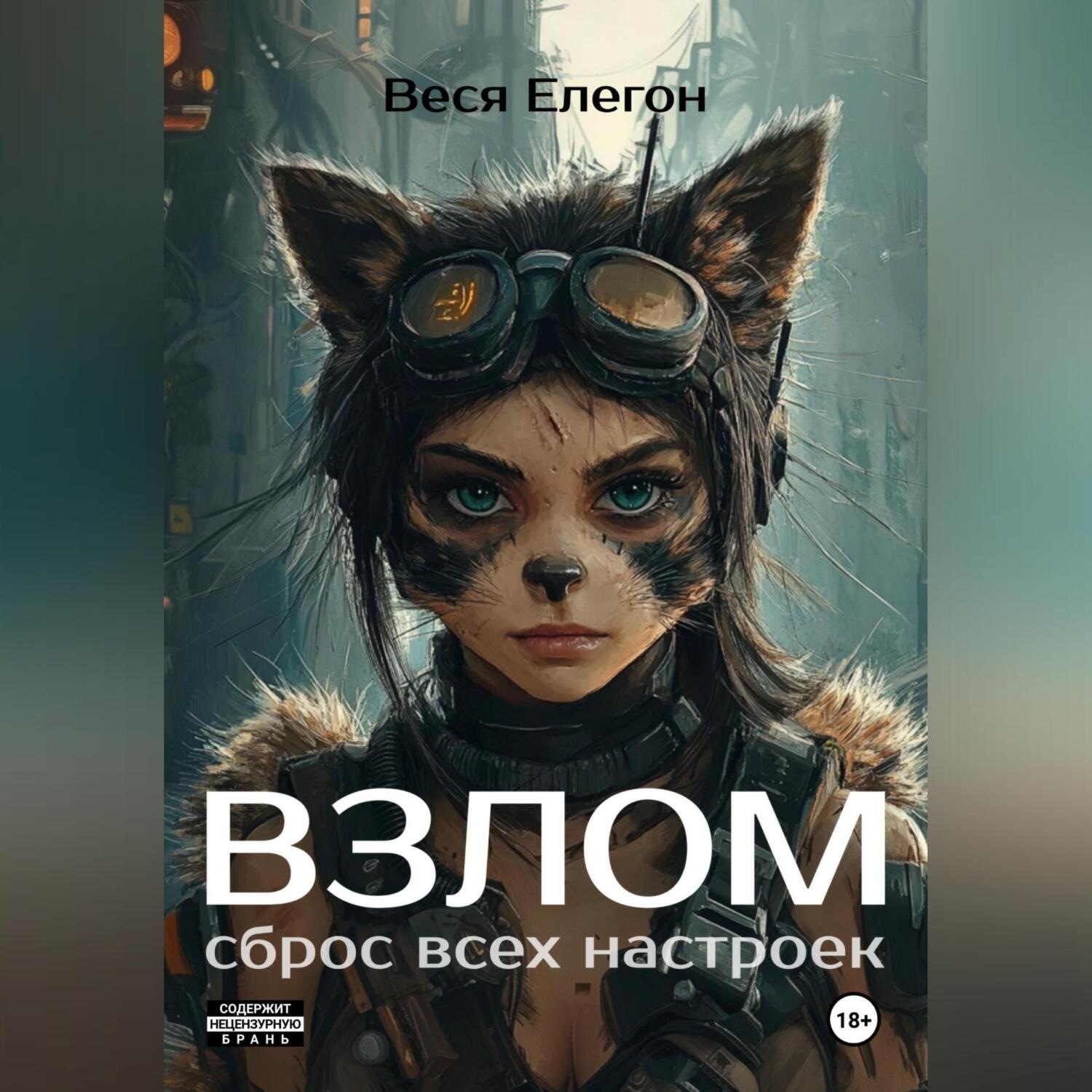 Обложка книги «Взлом»