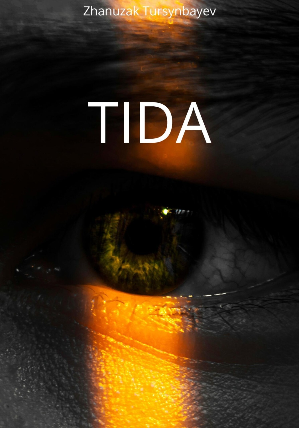 Обложка книги «Tida»