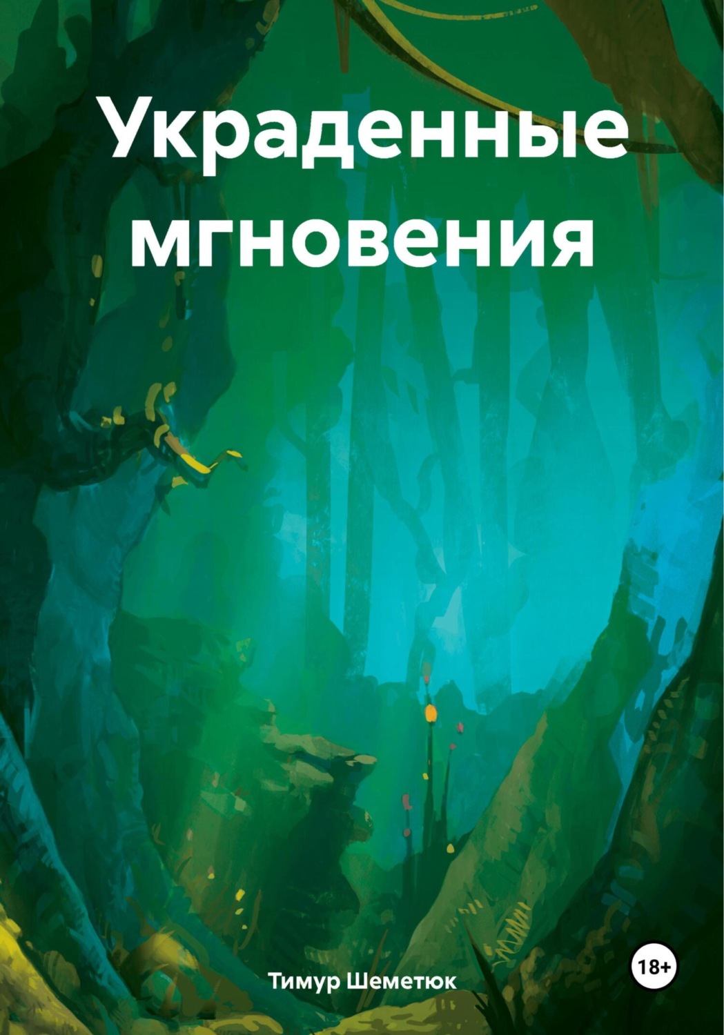 Обложка книги «Украденные мгновения»