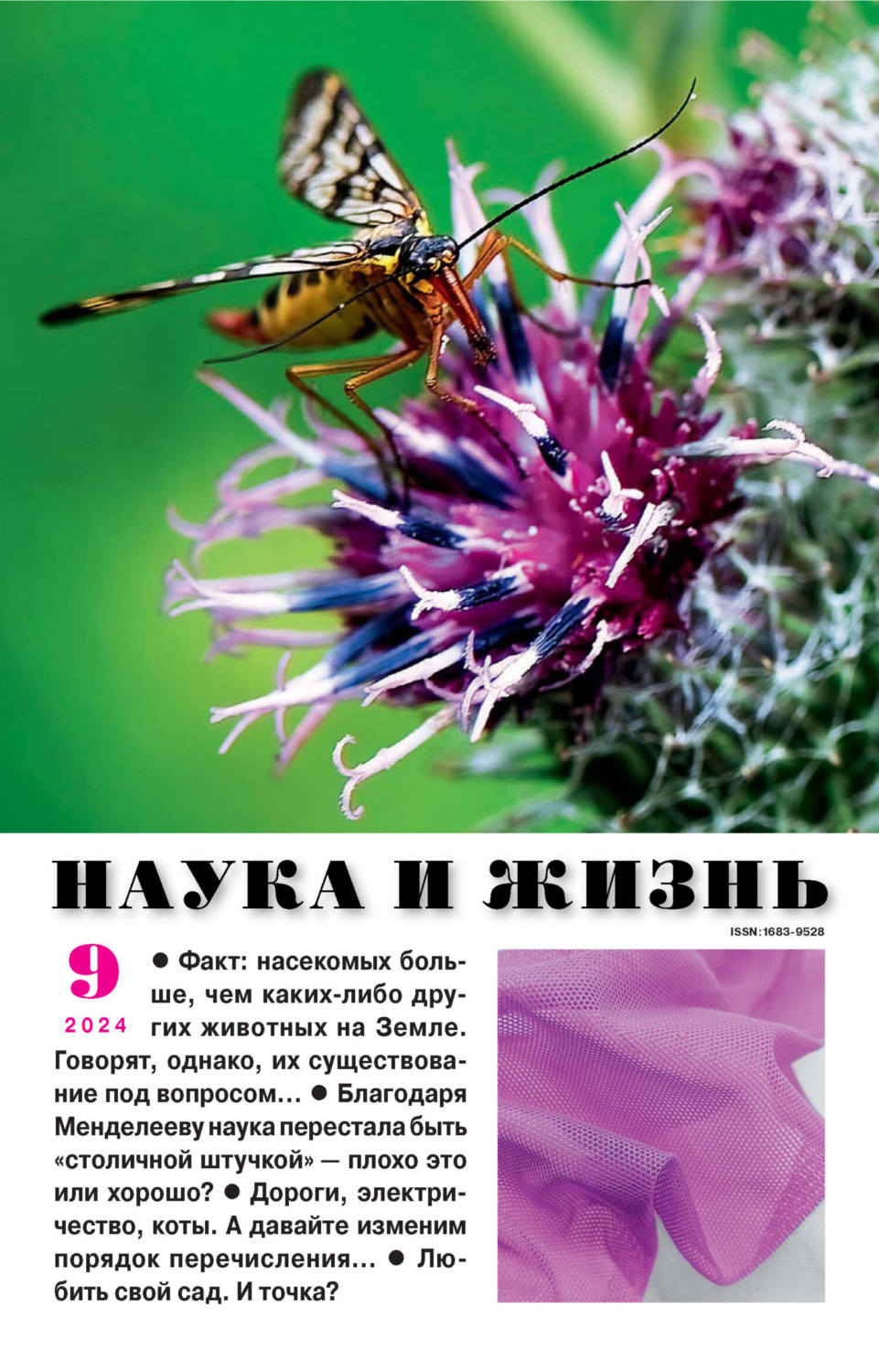 Обложка книги «Наука и жизнь №09/2024»