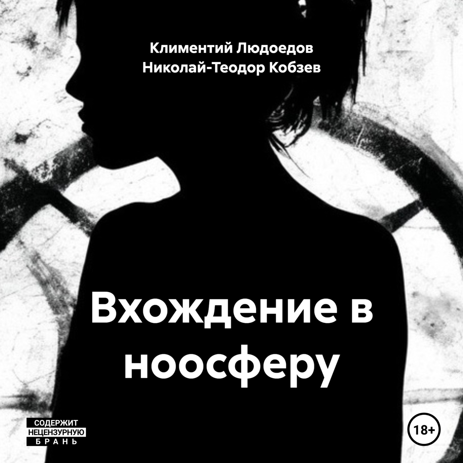 Обложка книги «Вхождение в ноосферу»
