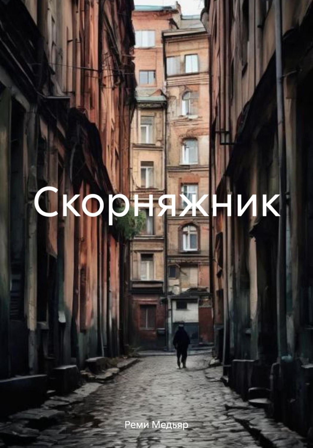 Обложка книги «Скорняжник»