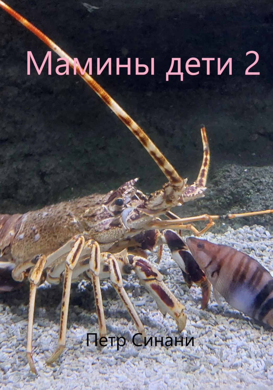 Обложка книги «Мамины дети 2»