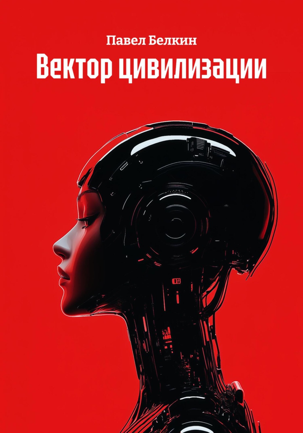 Обложка книги «Вектор цивилизации»