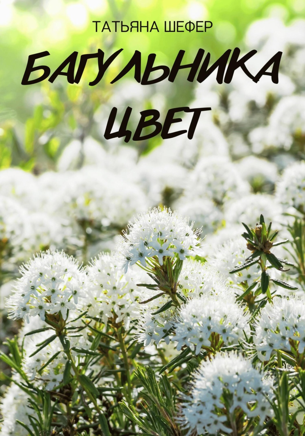 Обложка книги «Багульника цвет»