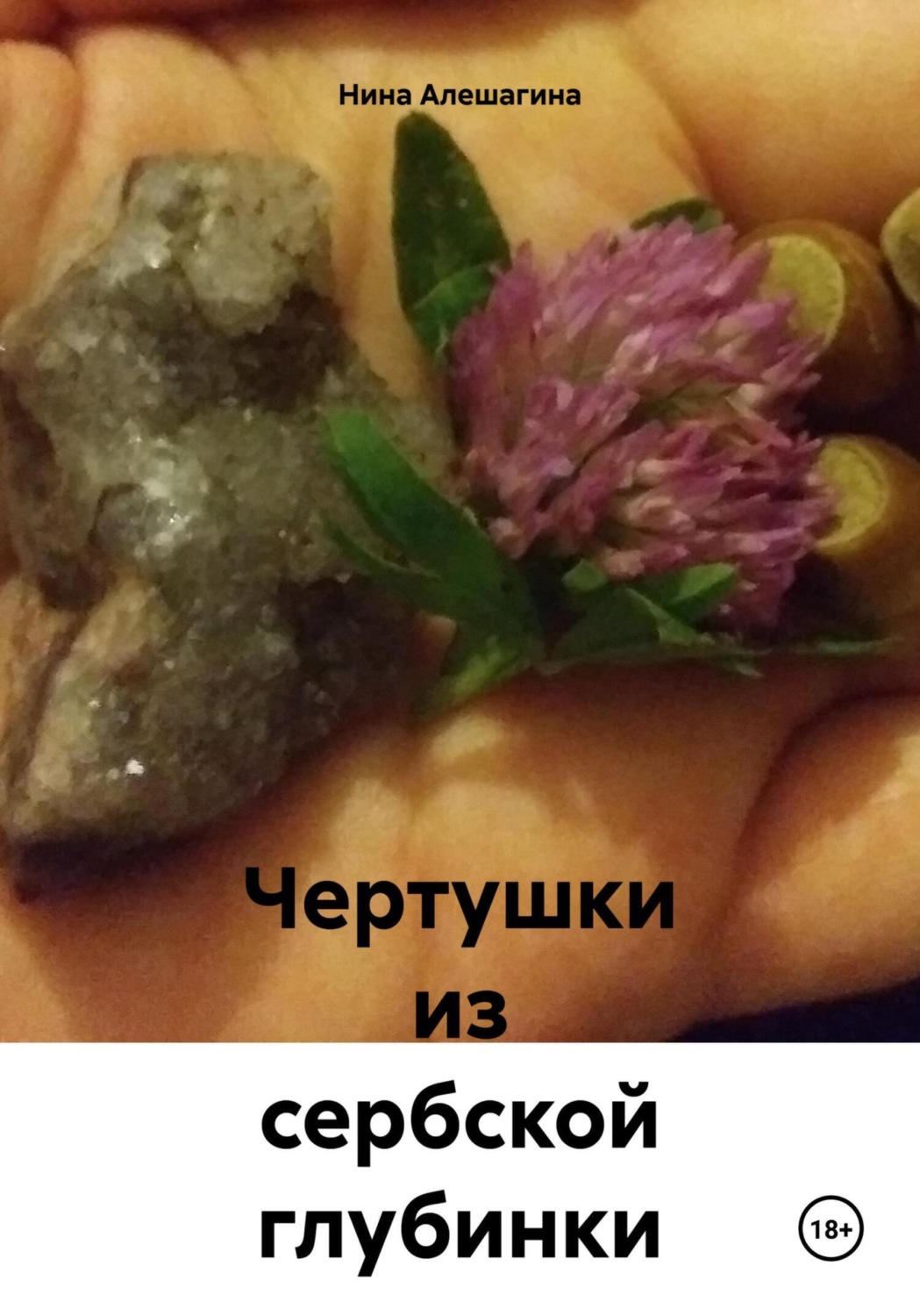 Обложка книги «Чертушки из сербской глубинки»