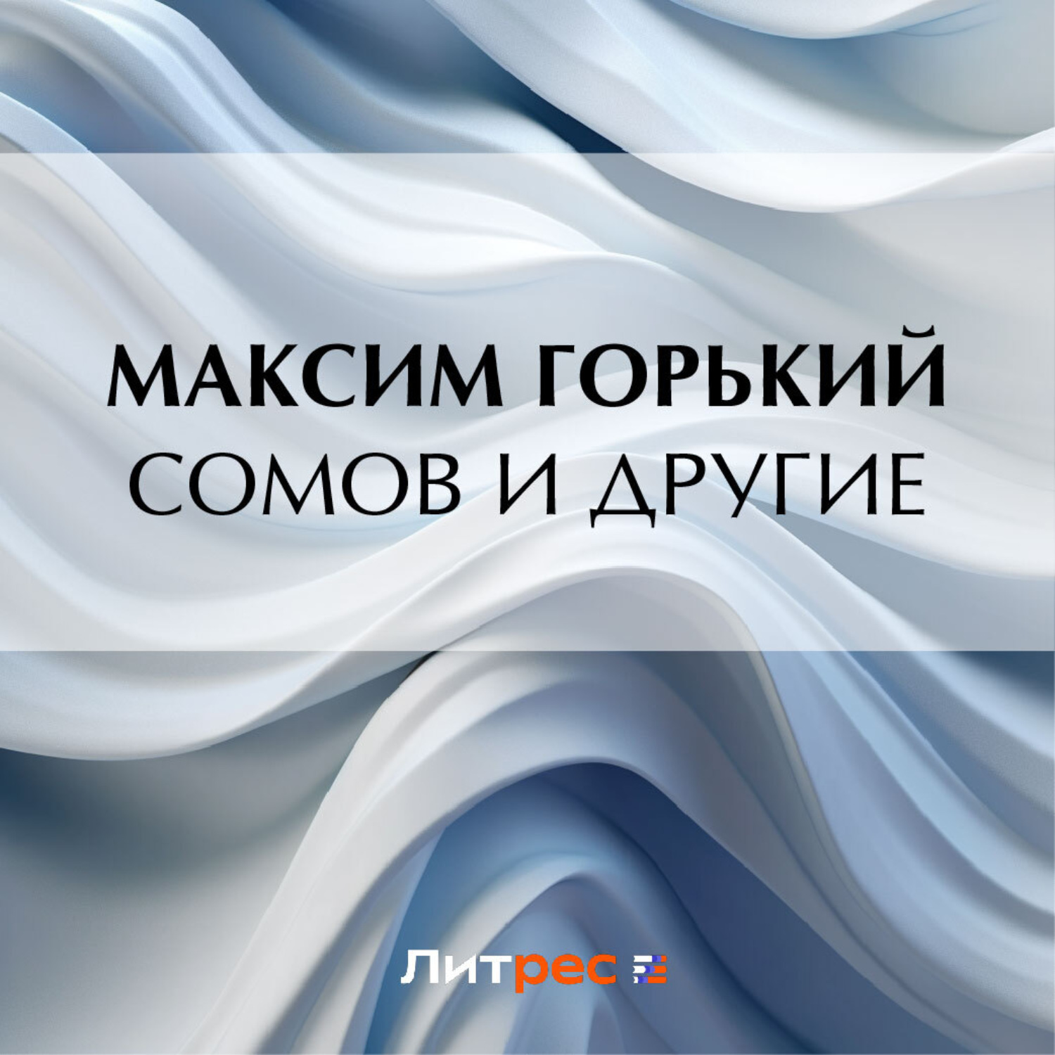Обложка книги «Сомов и другие»