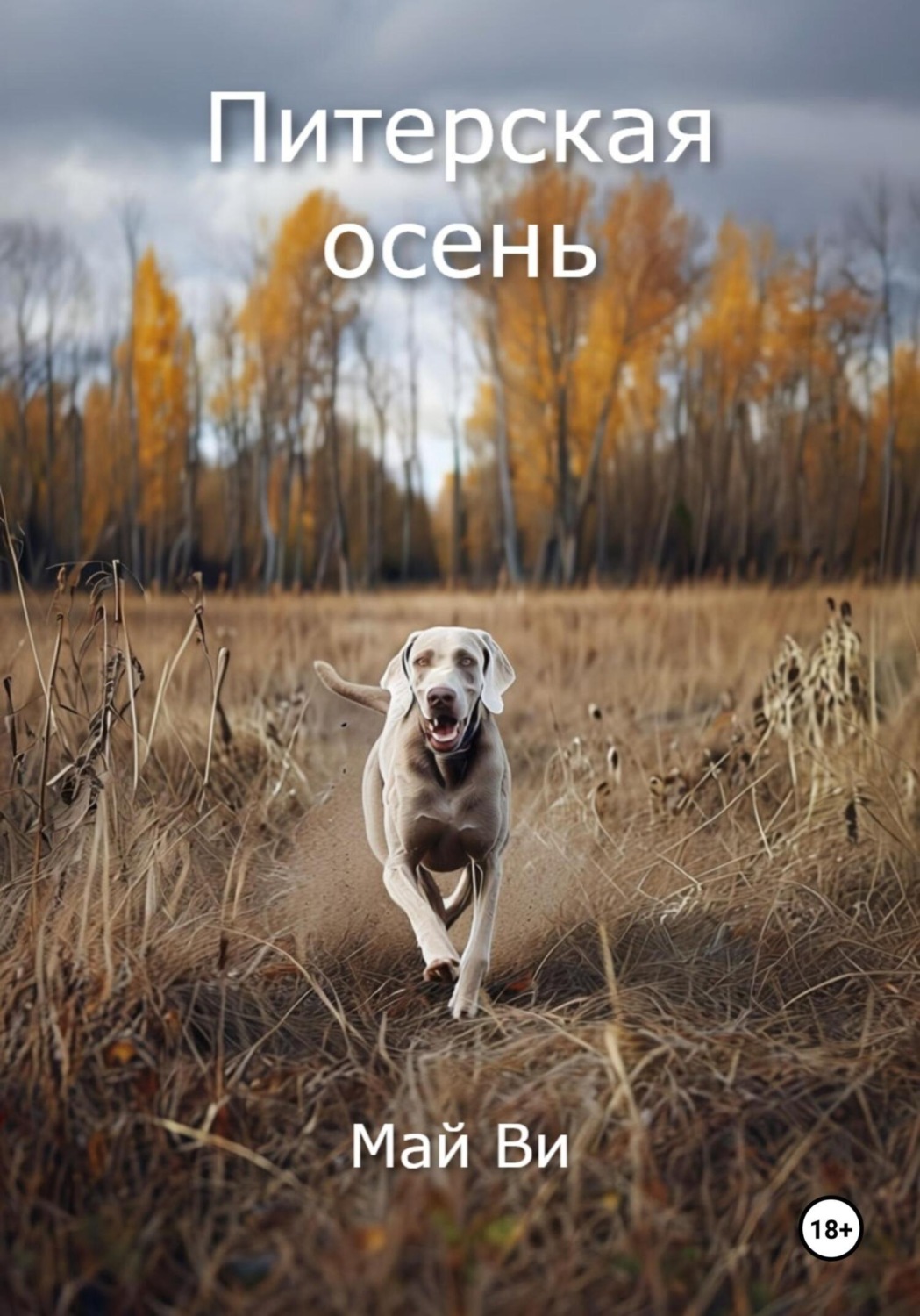 Обложка книги «Питерская осень»