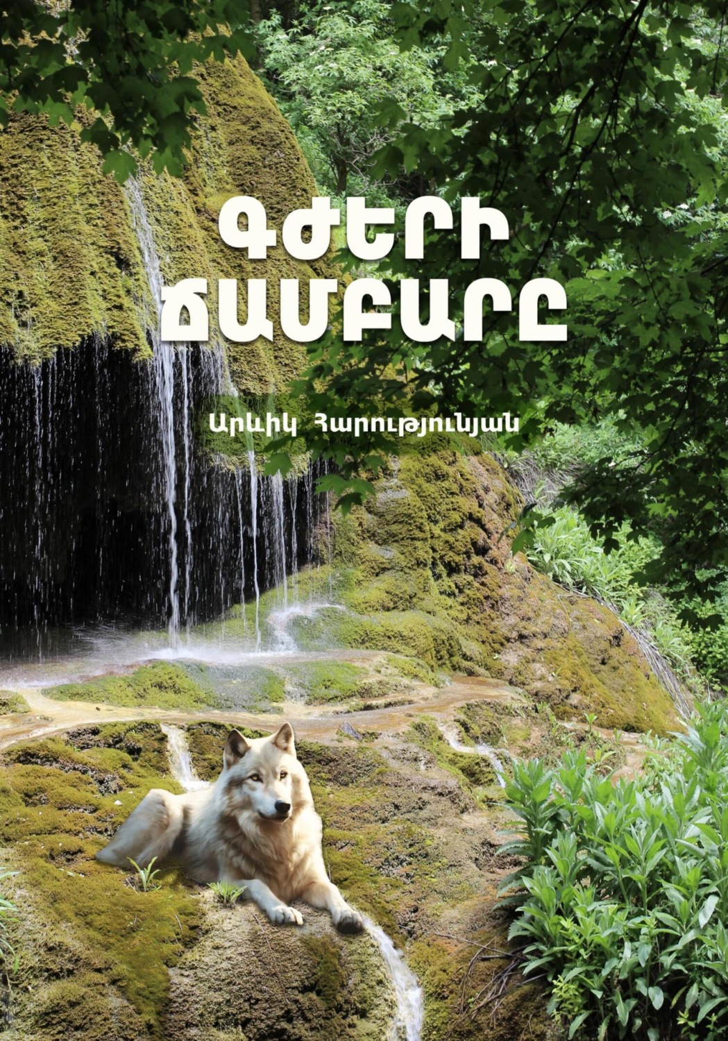 Обложка книги «Գժերի ճամբարը»