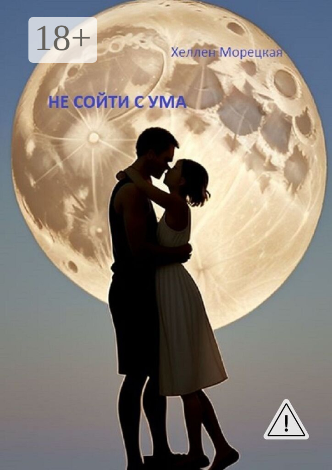 Обложка книги «Не сойти с ума»