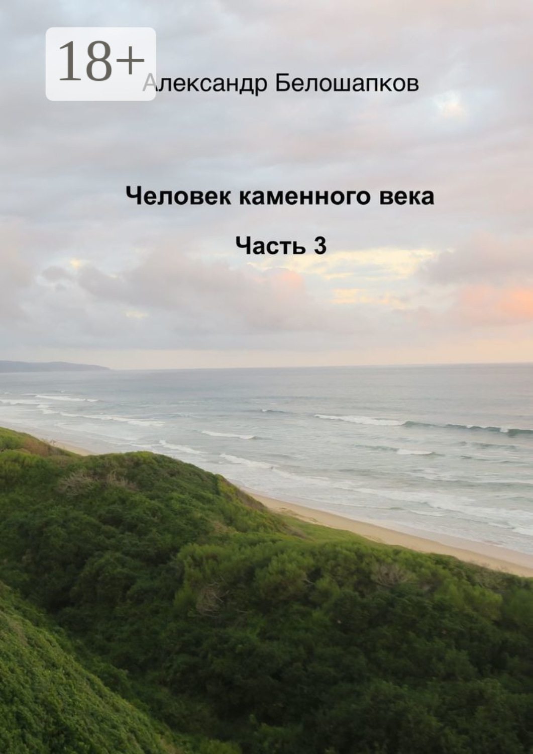 Обложка книги «Человек каменного века. Часть 3»