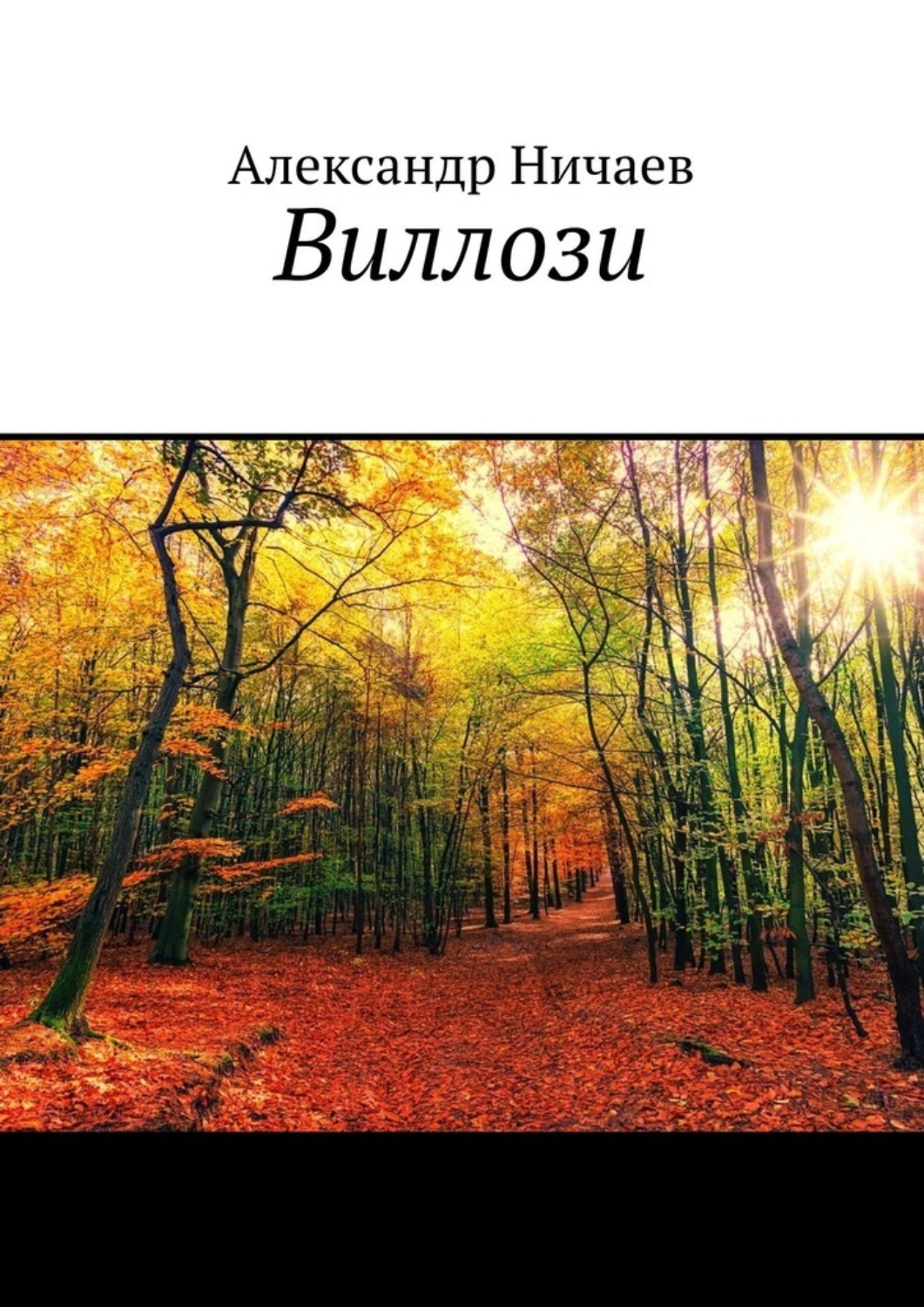 Обложка книги «Виллози»