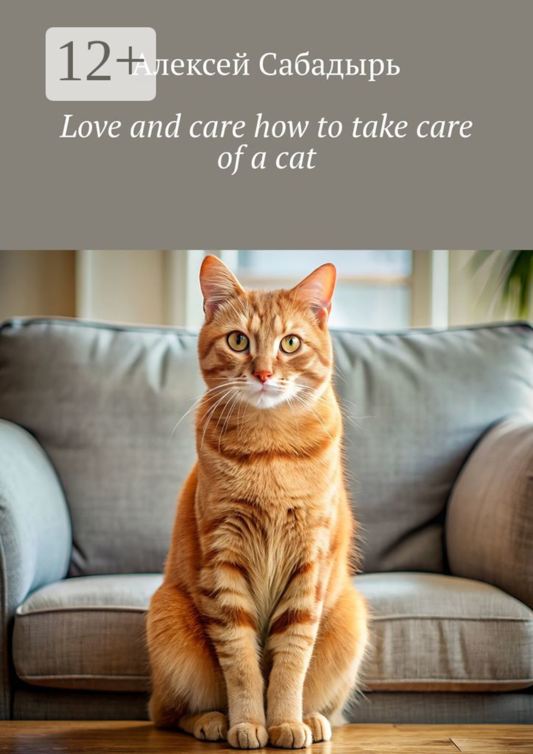 Обложка книги «Love and care how to take care of a cat»