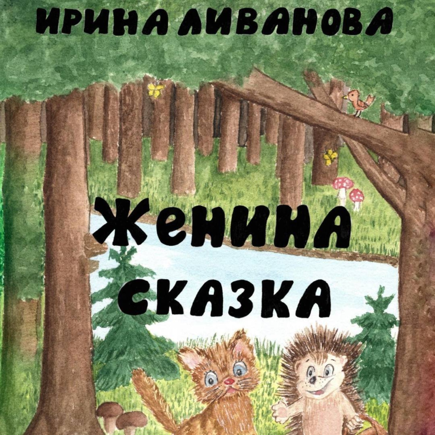 Обложка книги «Женина сказка»