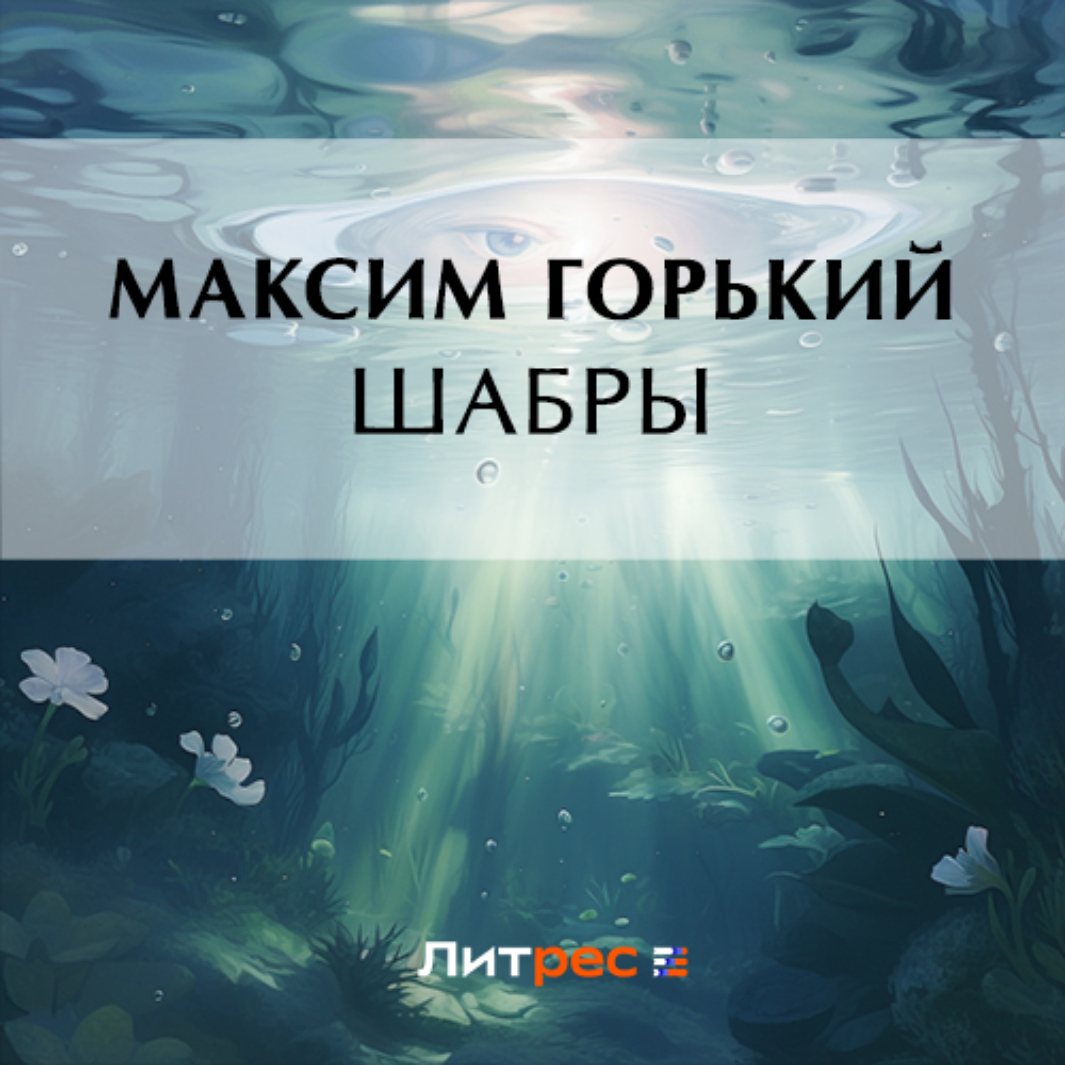 Обложка книги «Шабры»