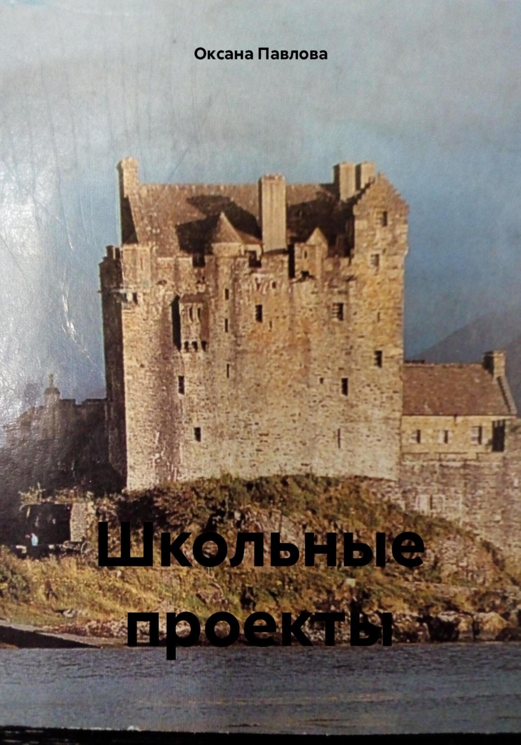 Обложка книги «Школьные проекты»