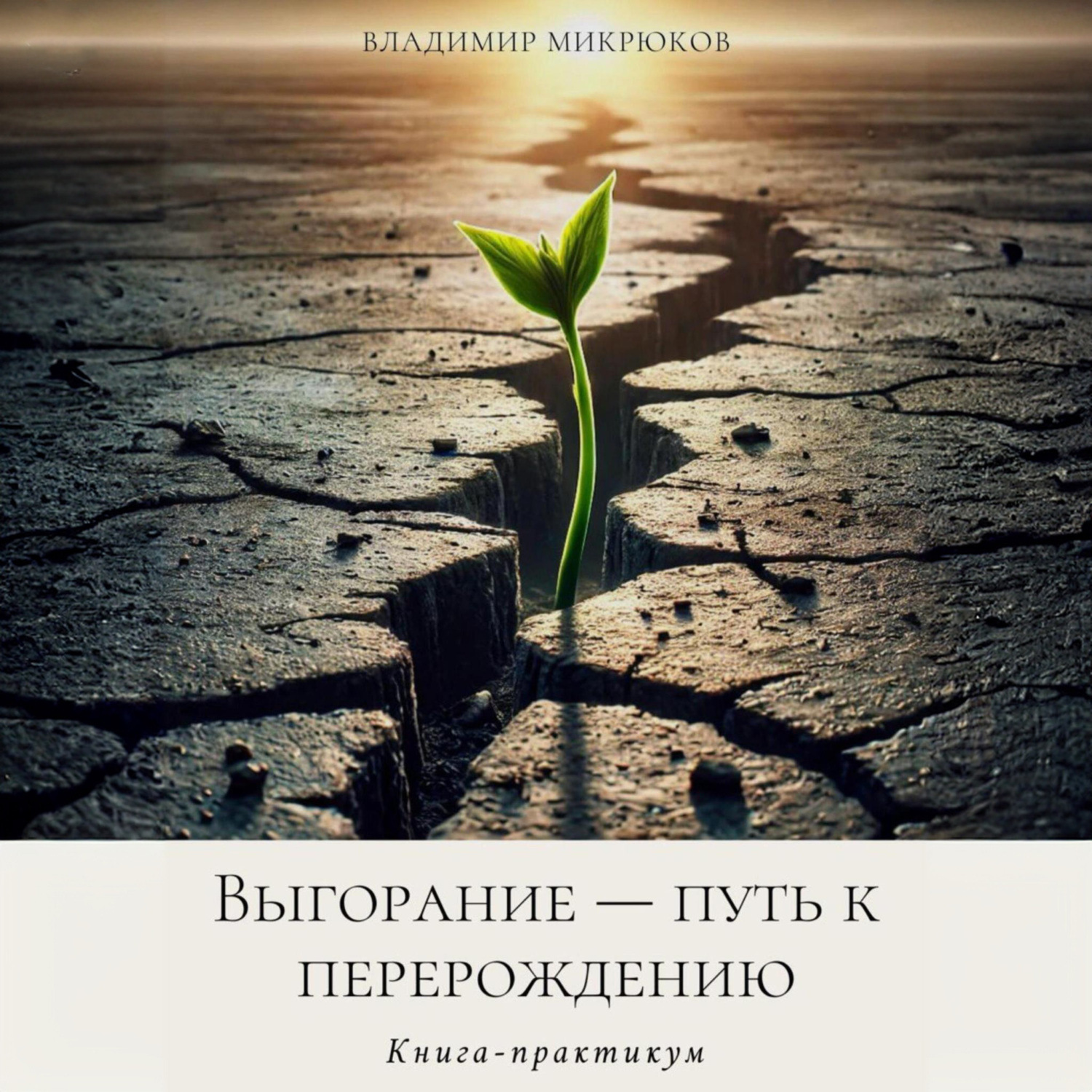 Обложка книги «Выгорание – путь к перерождению»