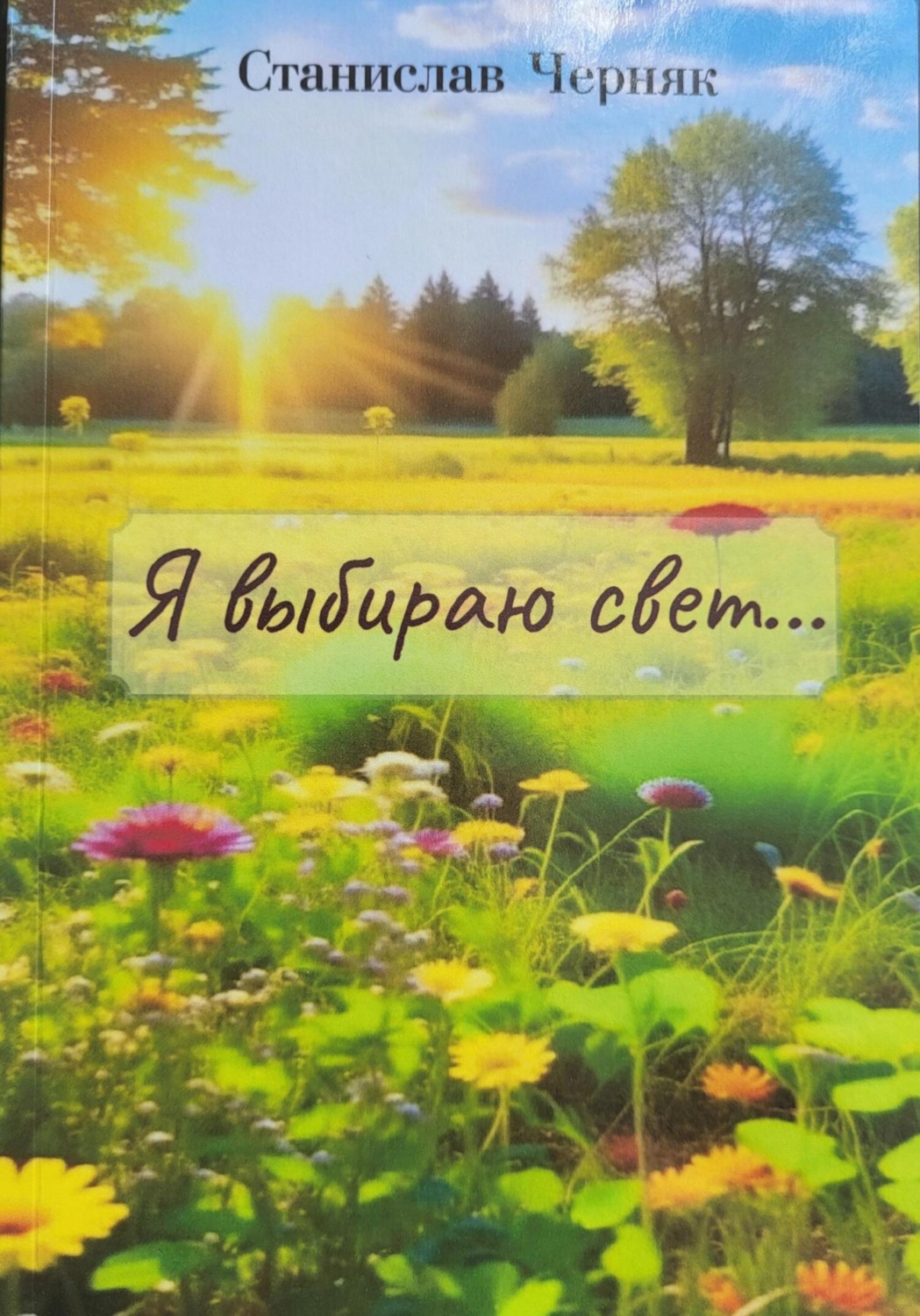 Обложка книги «Я выбираю свет…»