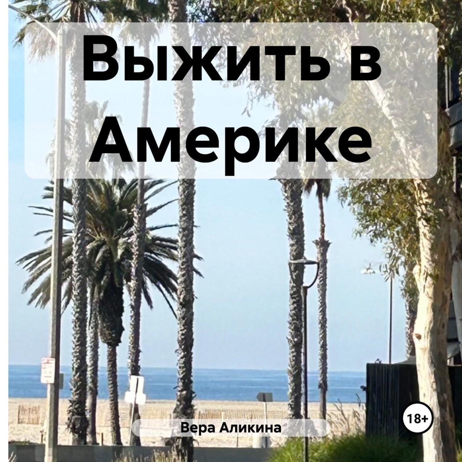Обложка книги «Выжить в Америке»