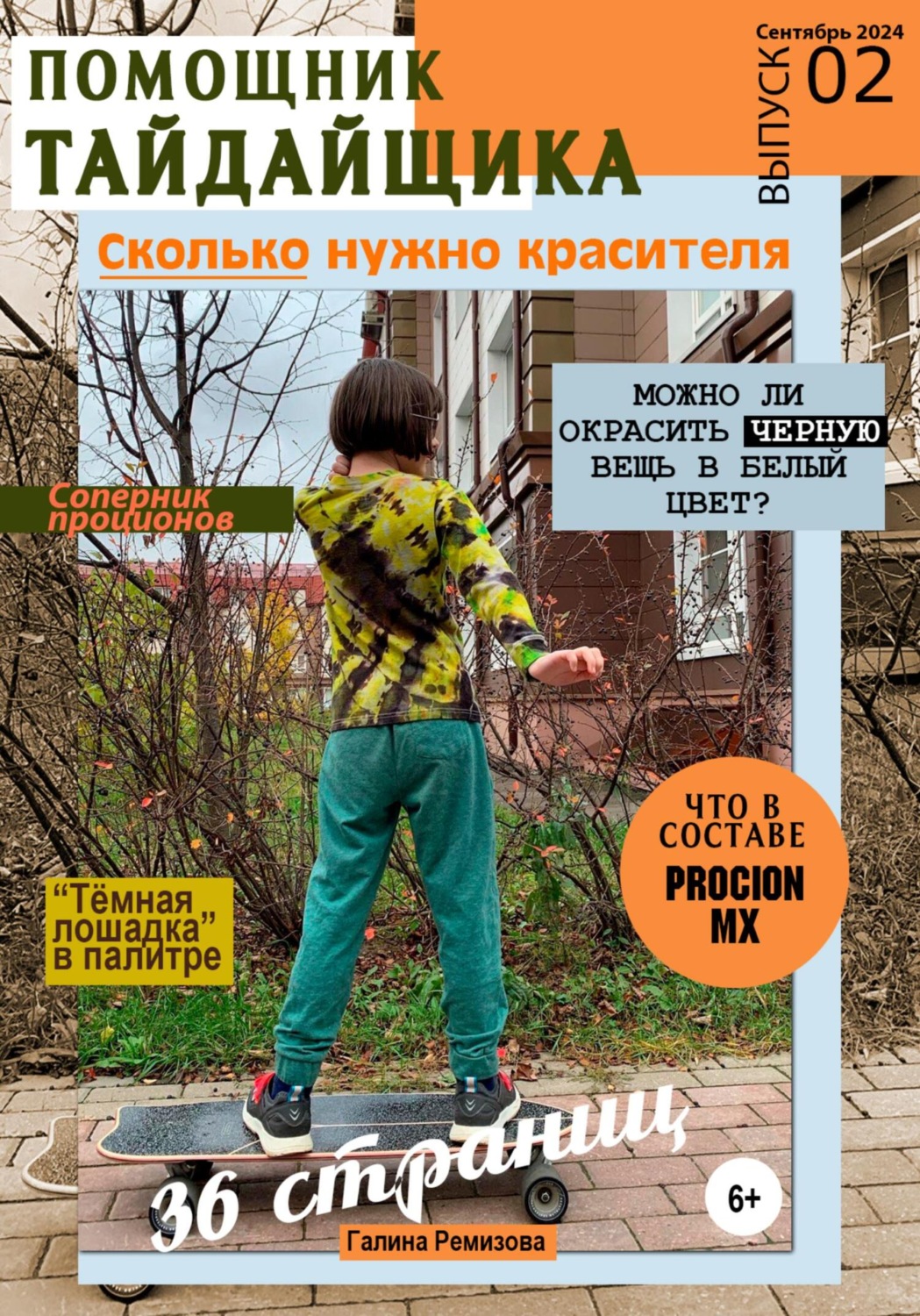 Обложка книги «Альманах «Помощник тайдайщика». Выпуск 2»