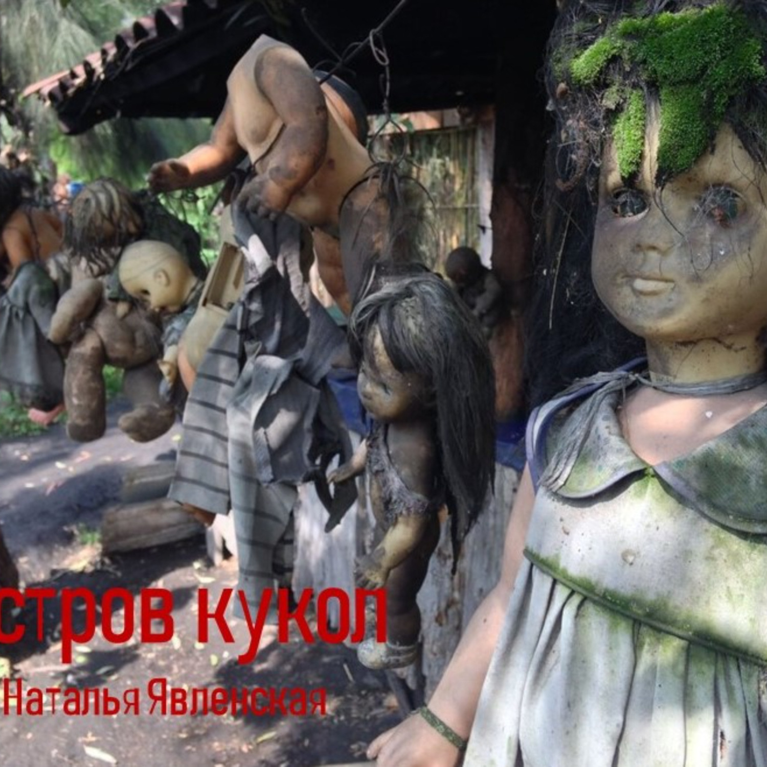 Обложка книги «Остров кукол»