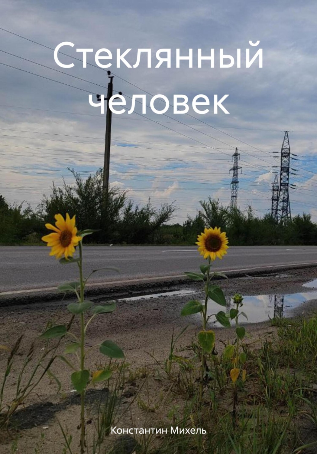 Обложка книги «Стеклянный человек»