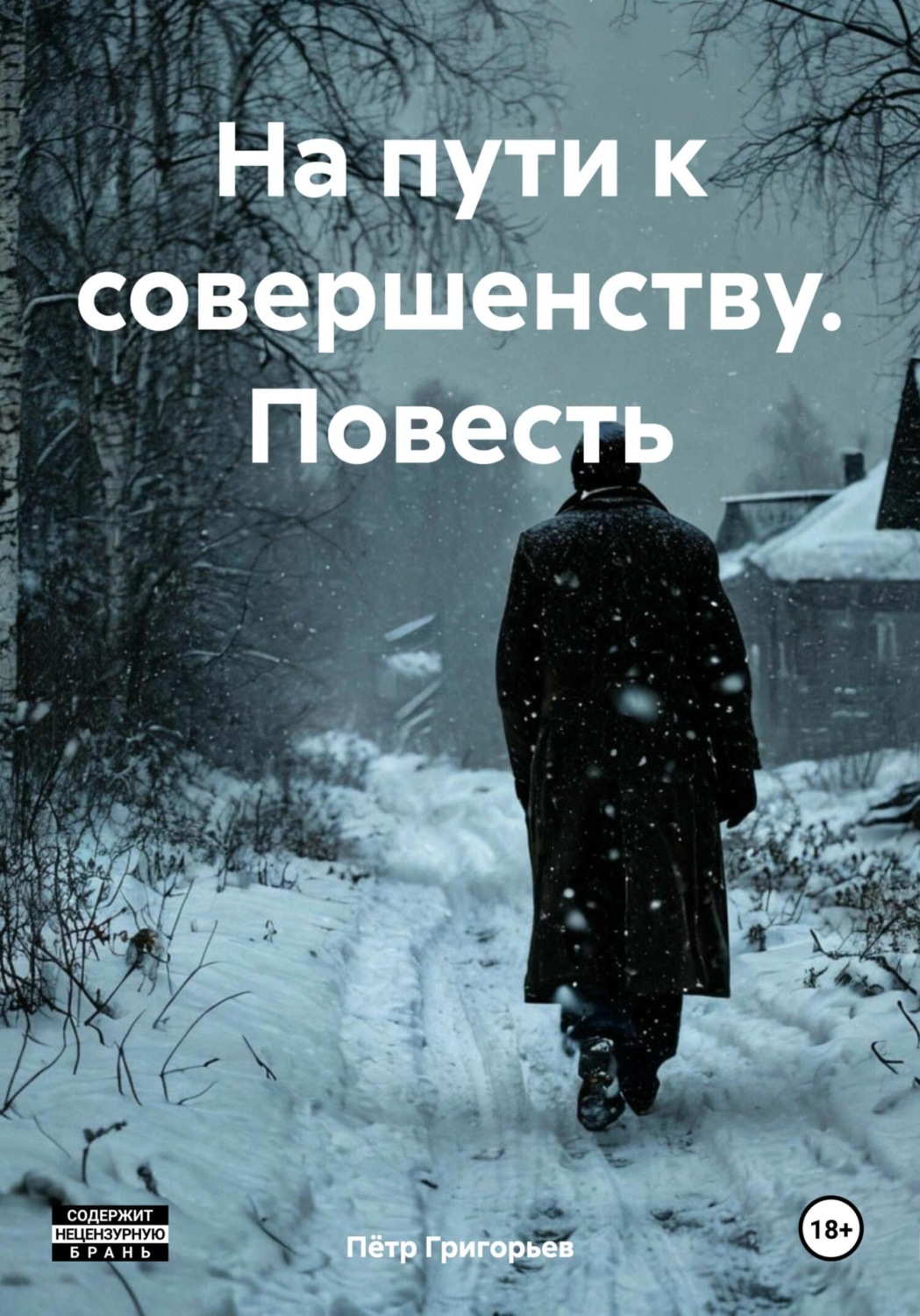 Обложка книги «На пути к совершенству. Повесть»