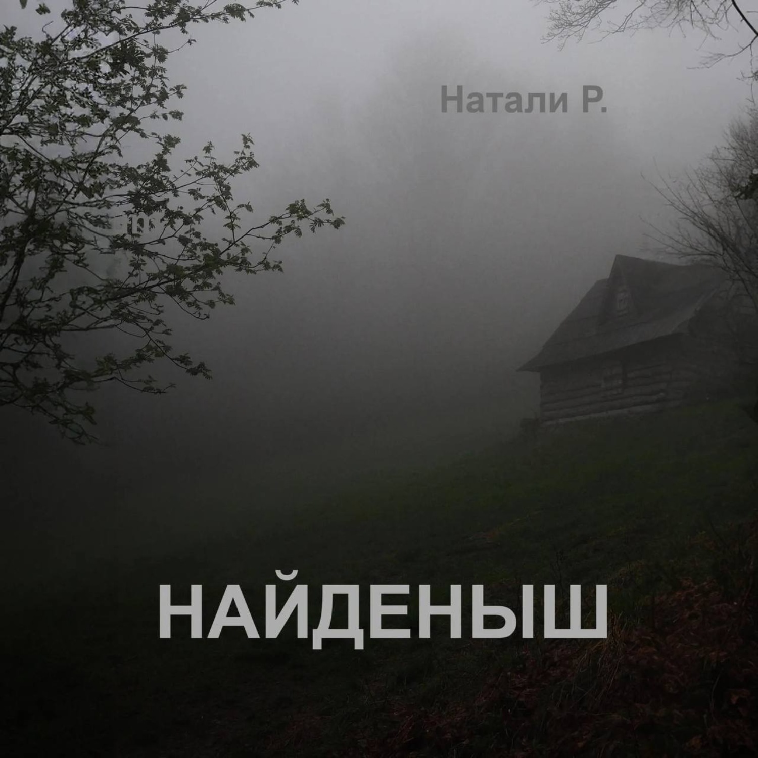 Обложка книги «Найденыш»
