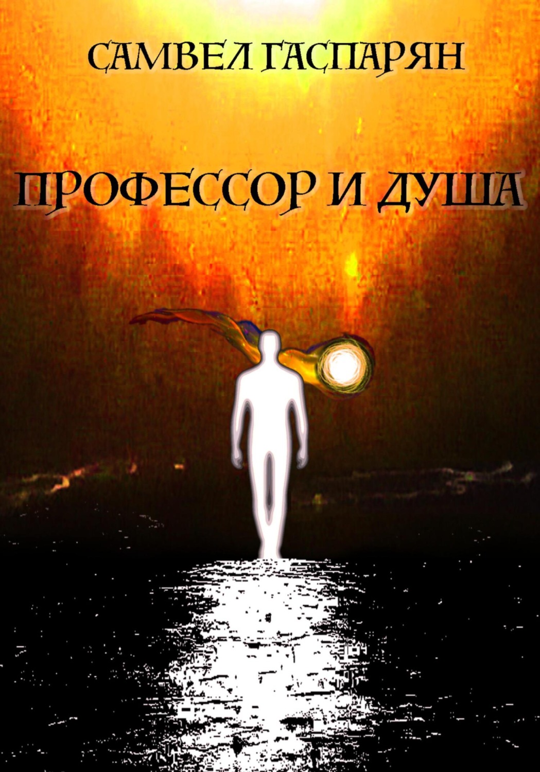 Обложка книги «Профессор и Душа»