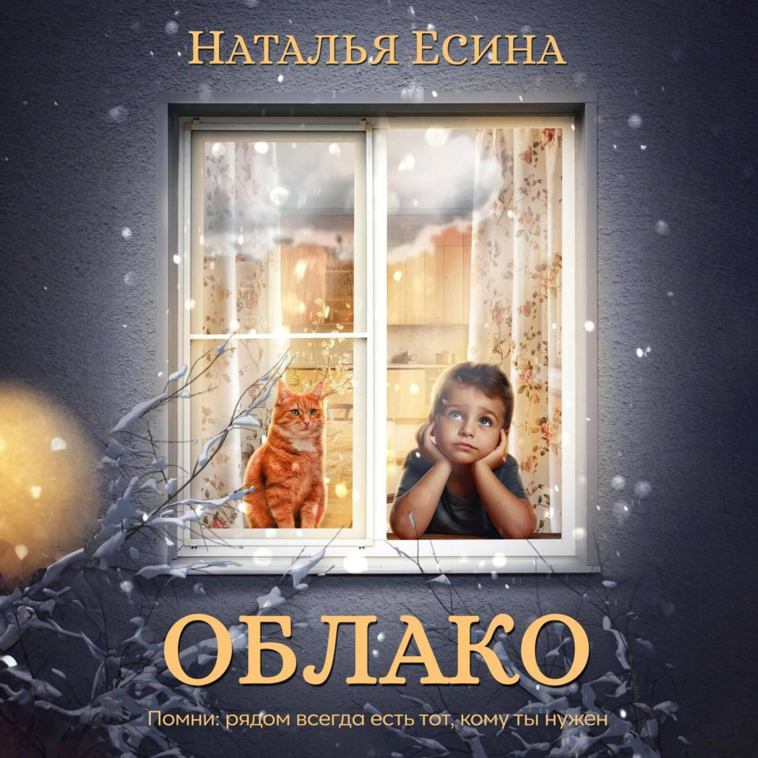Обложка книги «Облако»