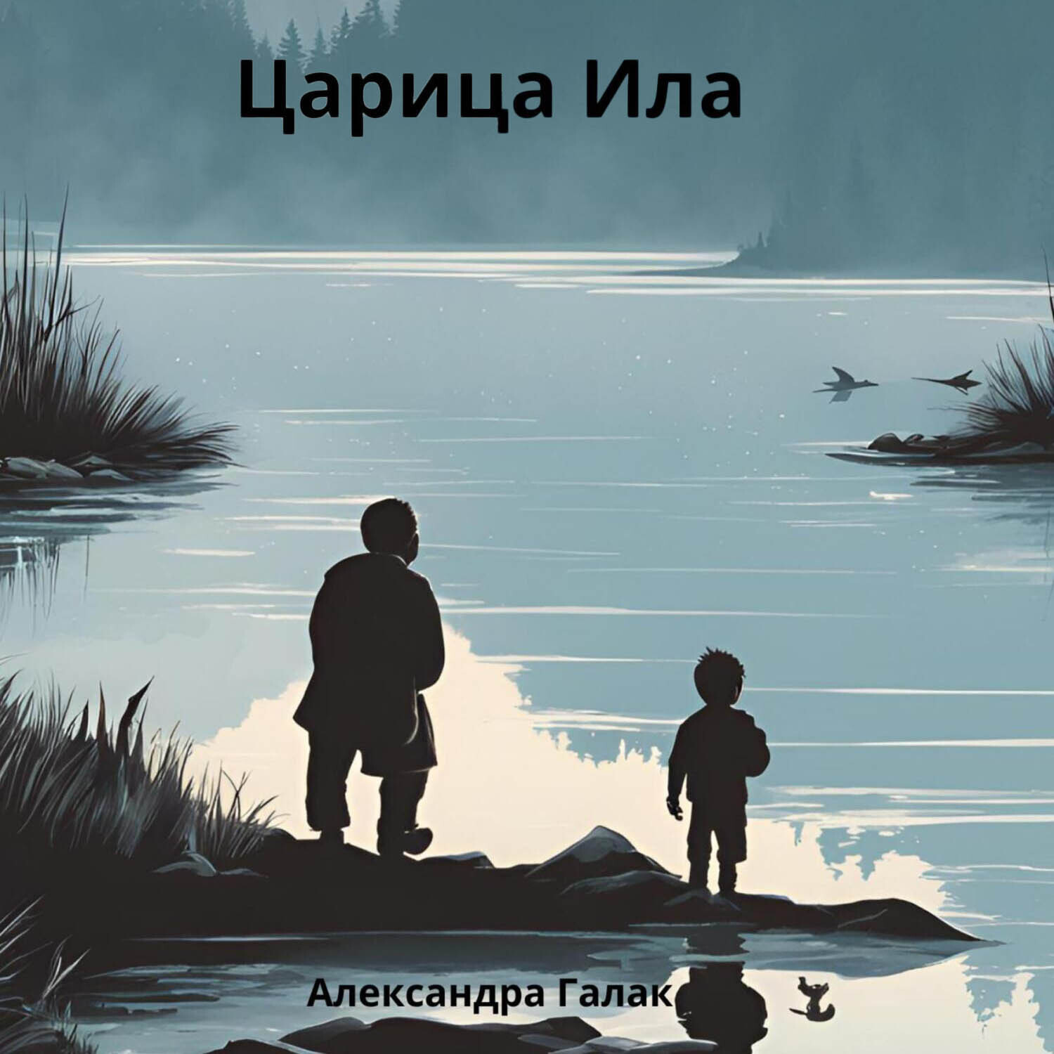 Обложка книги «Царица Ила»