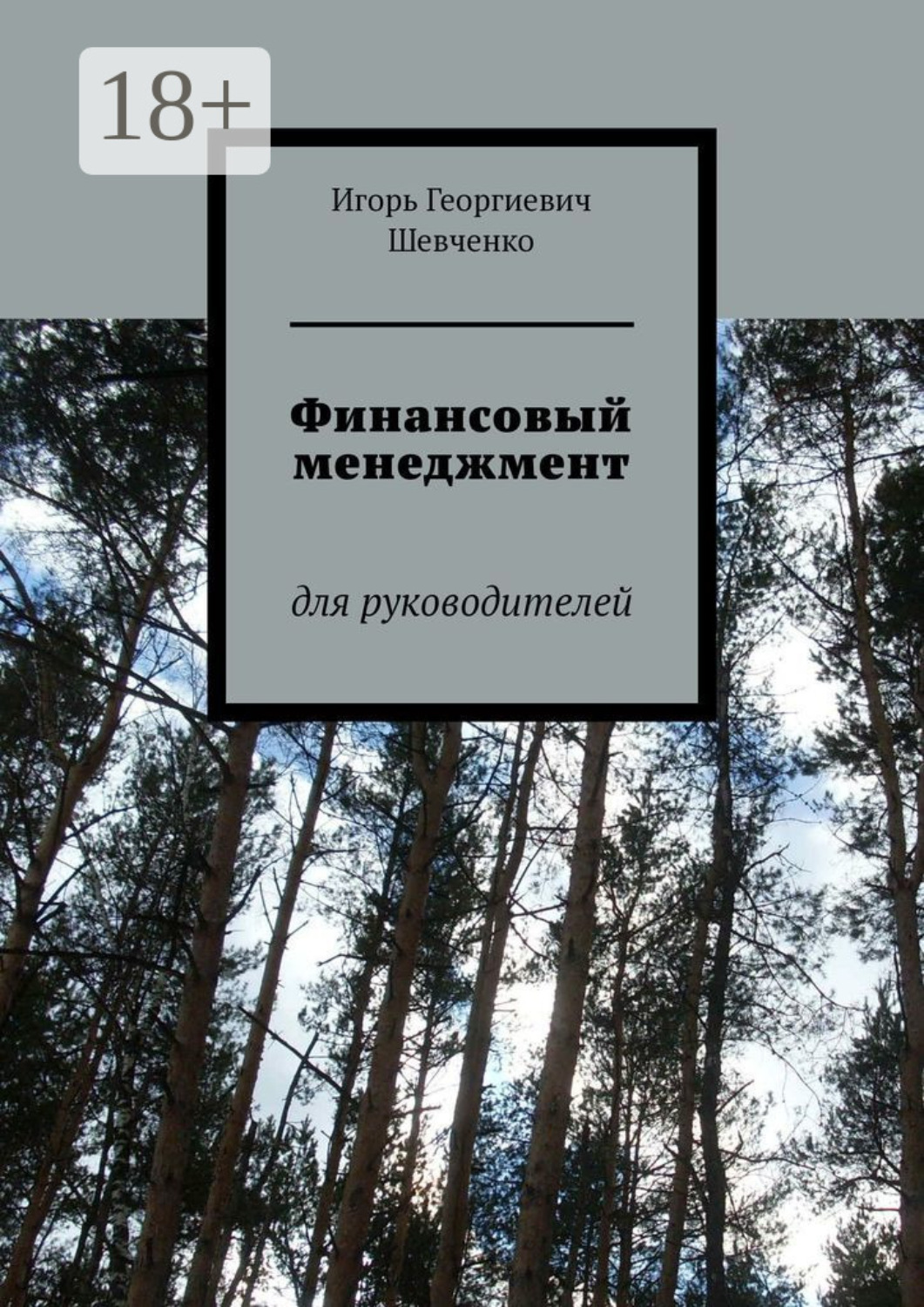 Обложка книги «Финансовый менеджмент. Для руководителей»