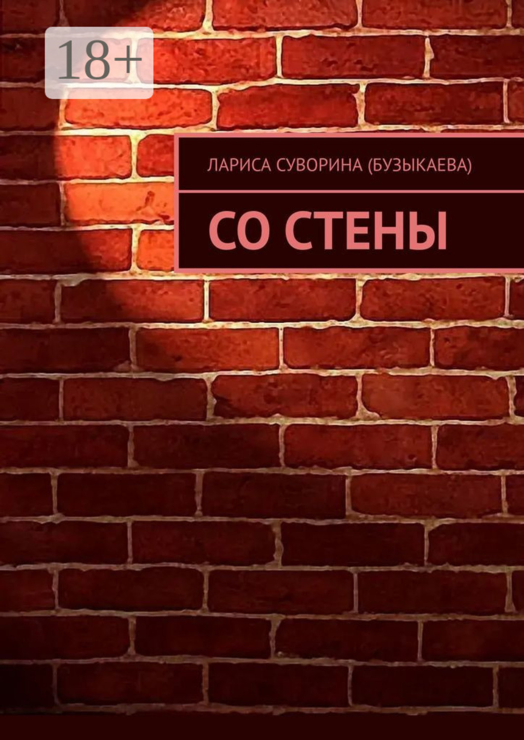 Обложка книги «Со стены»