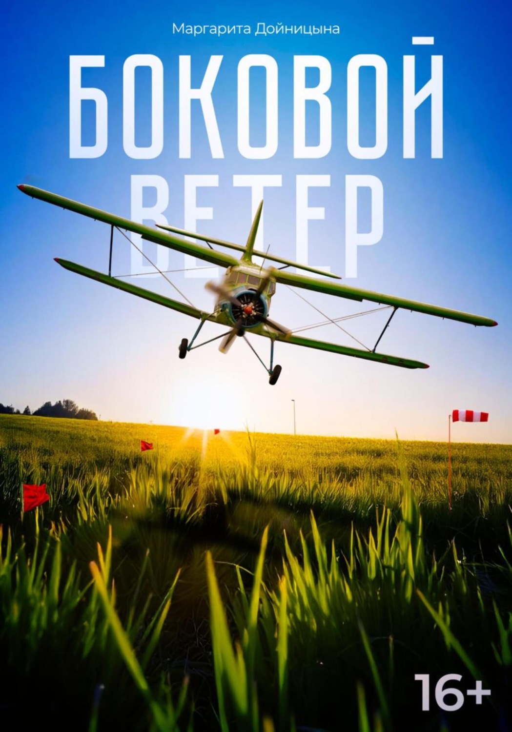 Обложка книги «Боковой ветер»