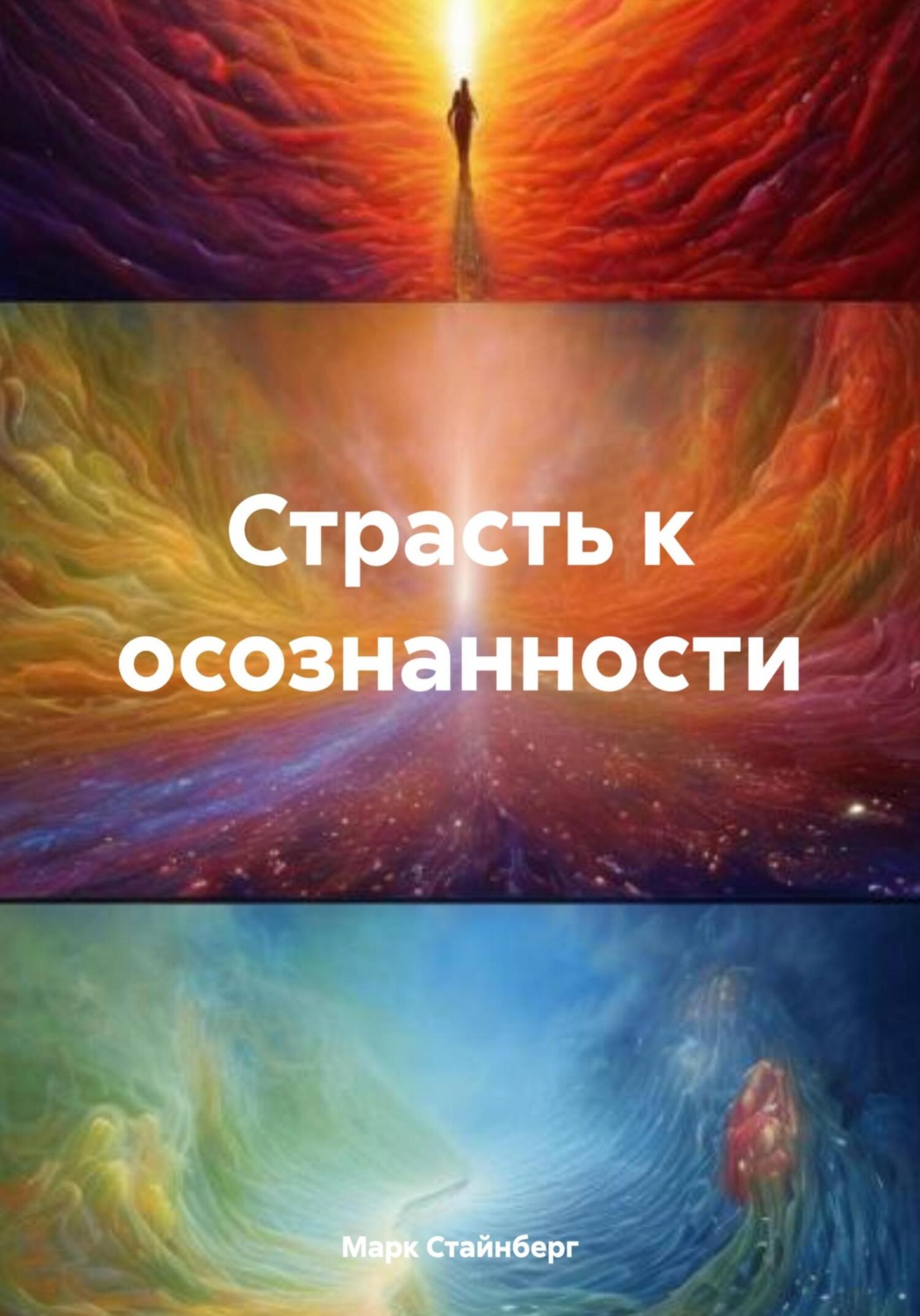 Обложка книги «Страсть к осознанности»