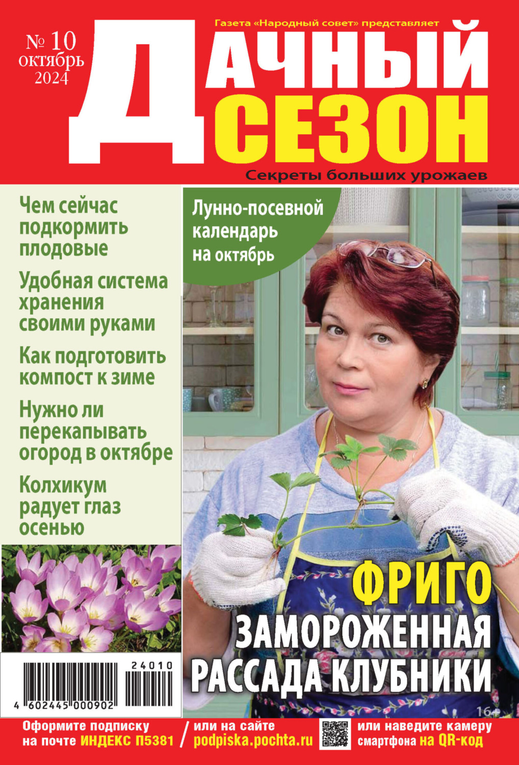 Обложка книги «Дачный сезон №10/2024»