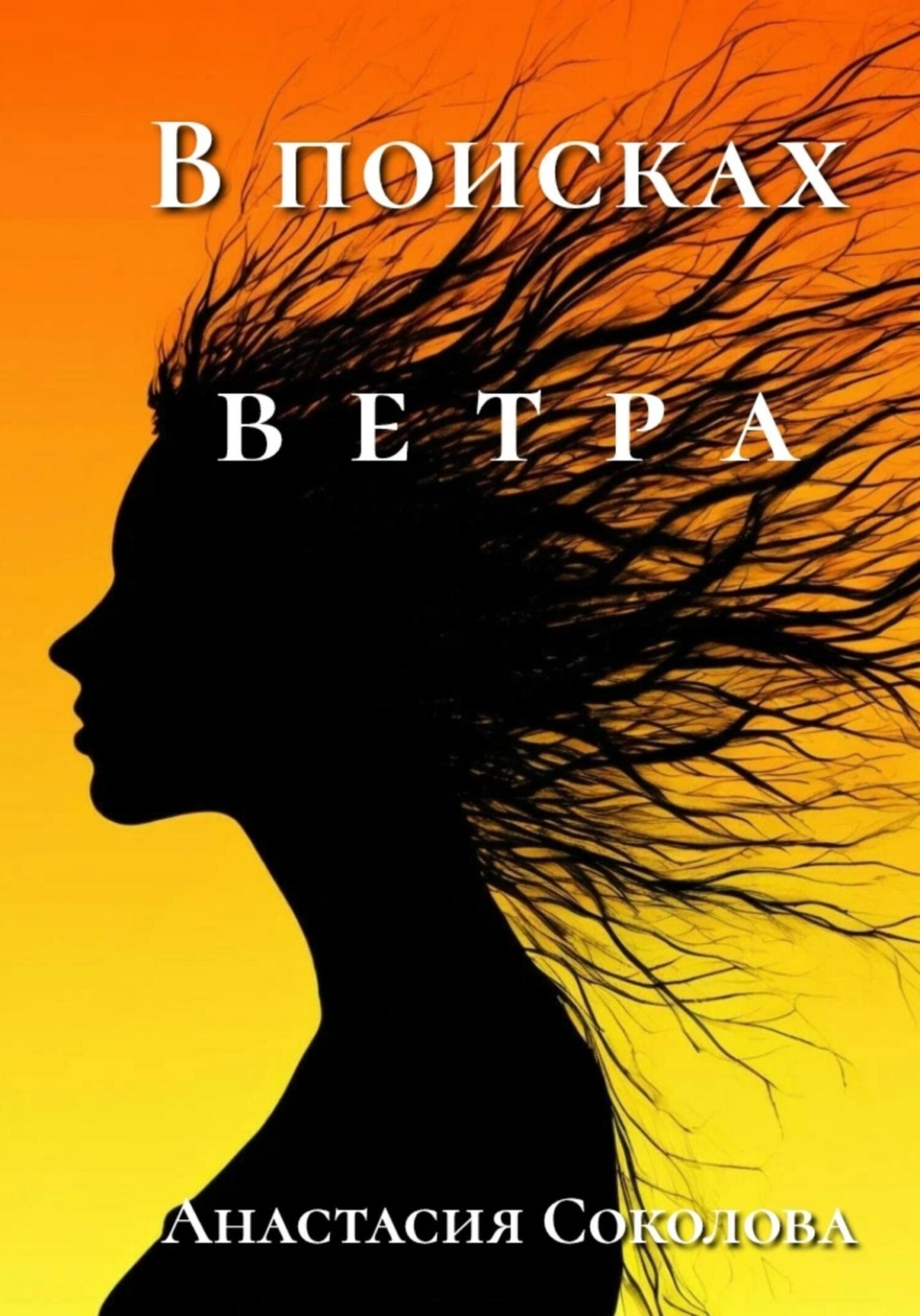 Обложка книги «В поисках ветра»