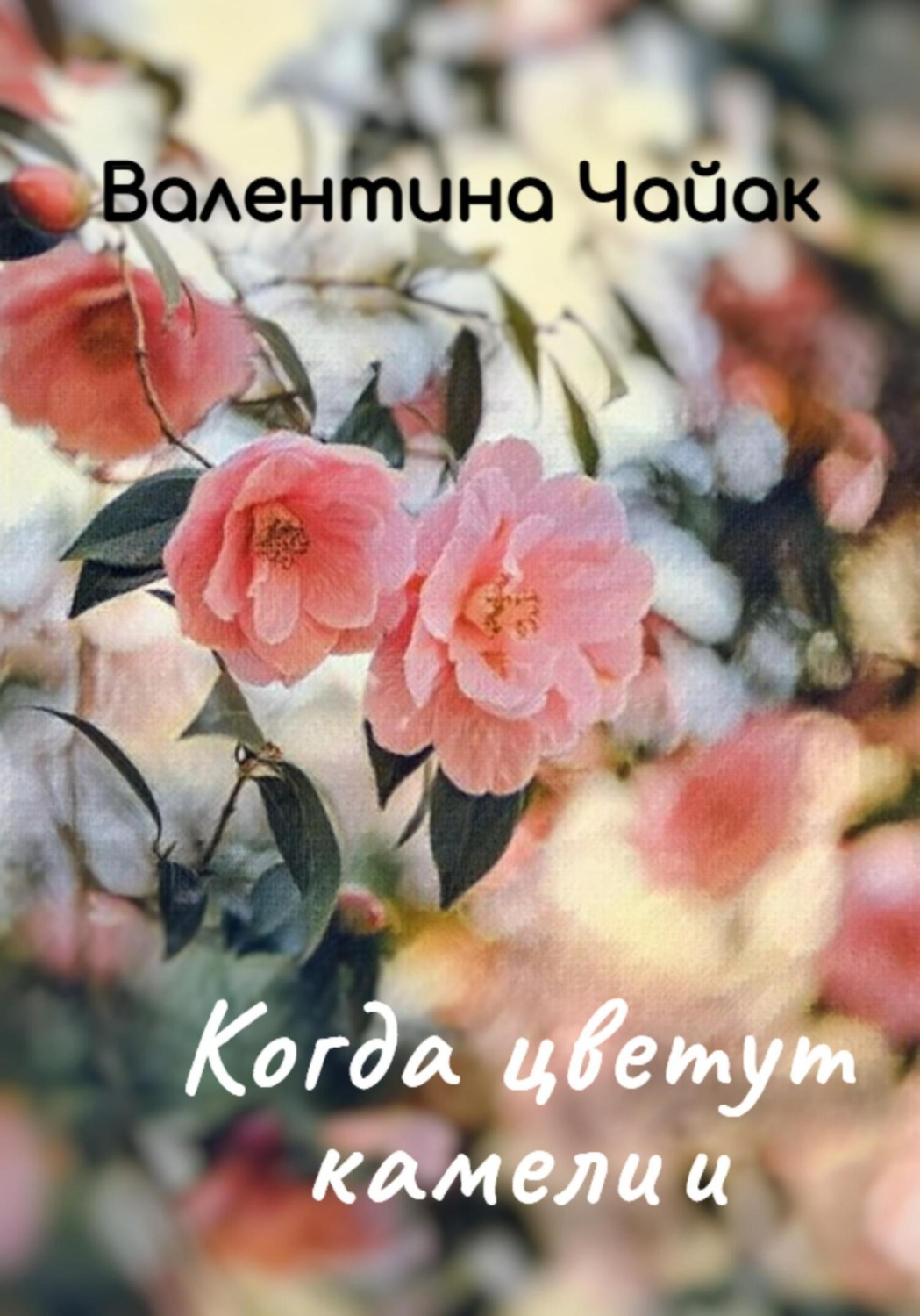 Обложка книги «Когда цветут камелии»