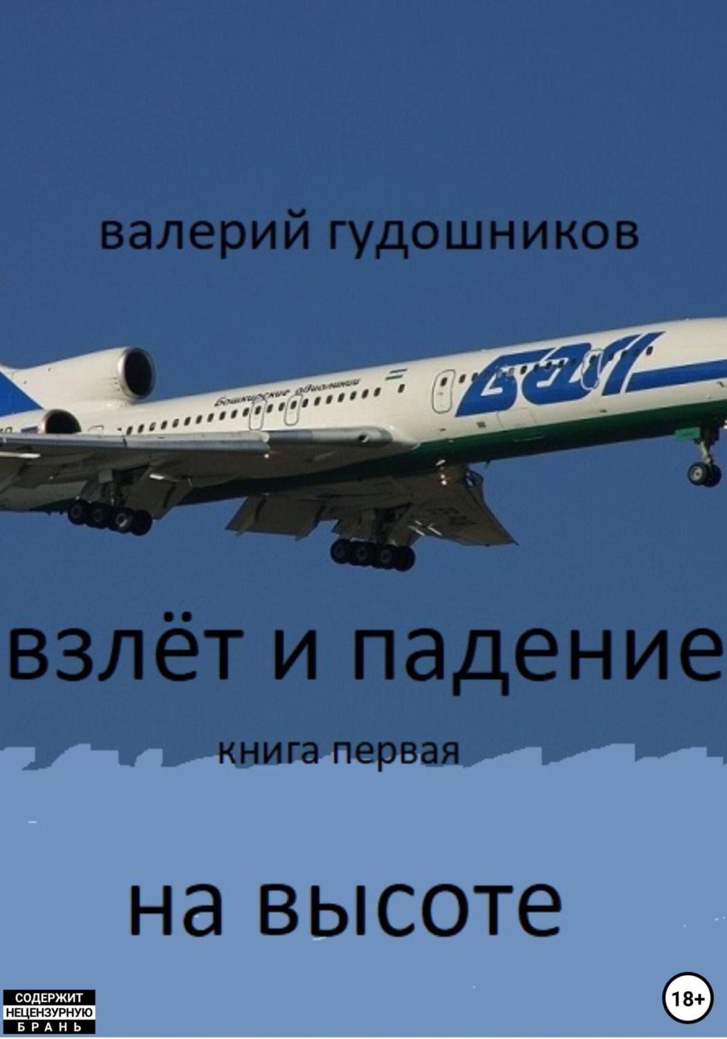 Обложка книги «Взлёт и падение. Книга первая. На высоте»