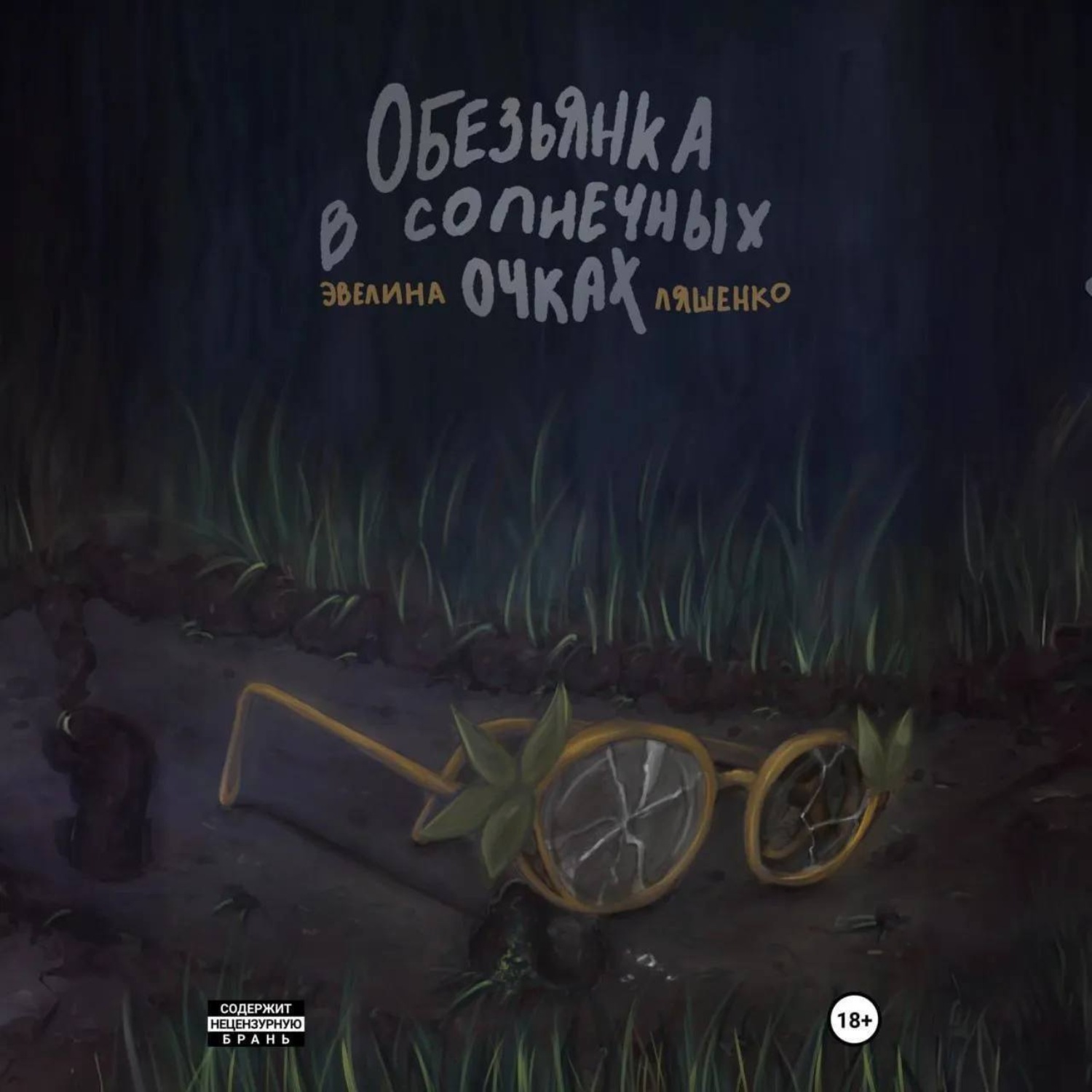 Обложка книги «Обезьянка в солнечных очках»