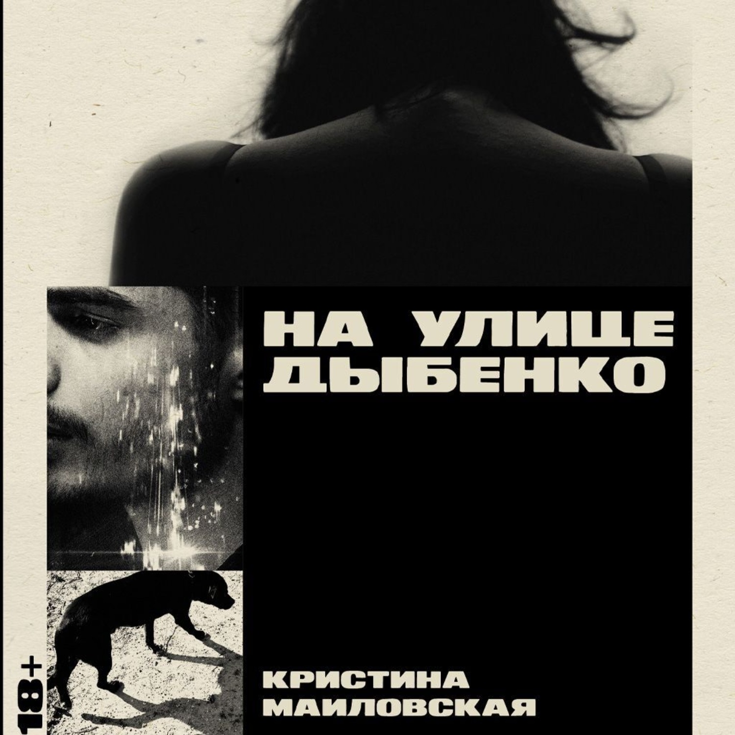 Обложка книги «На улице Дыбенко»