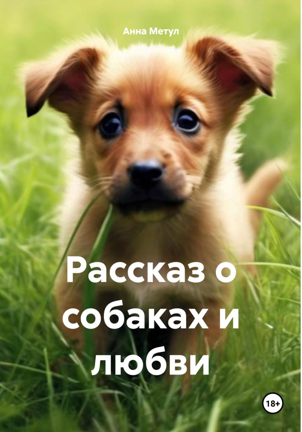 Обложка книги «Рассказ о собаках и любви»