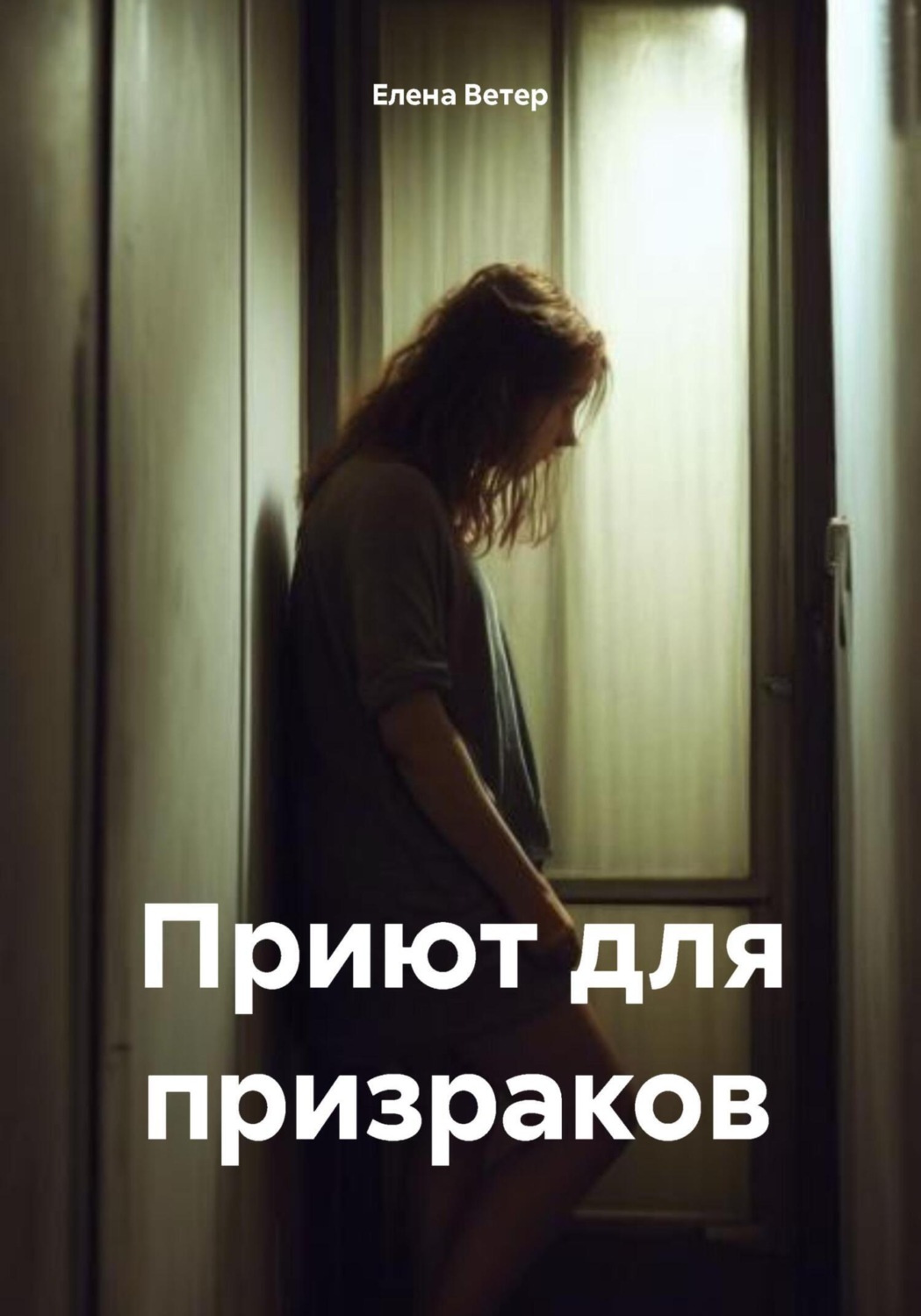 Обложка книги «Приют для призраков»