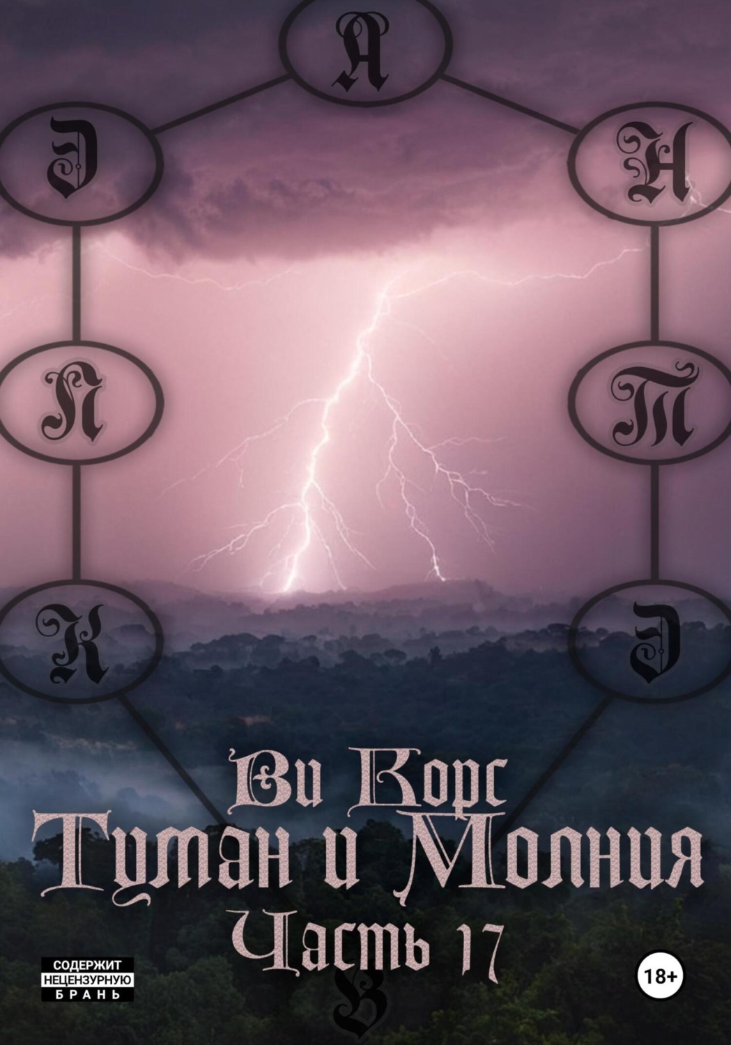 Обложка книги «Туман и Молния. Часть 17»