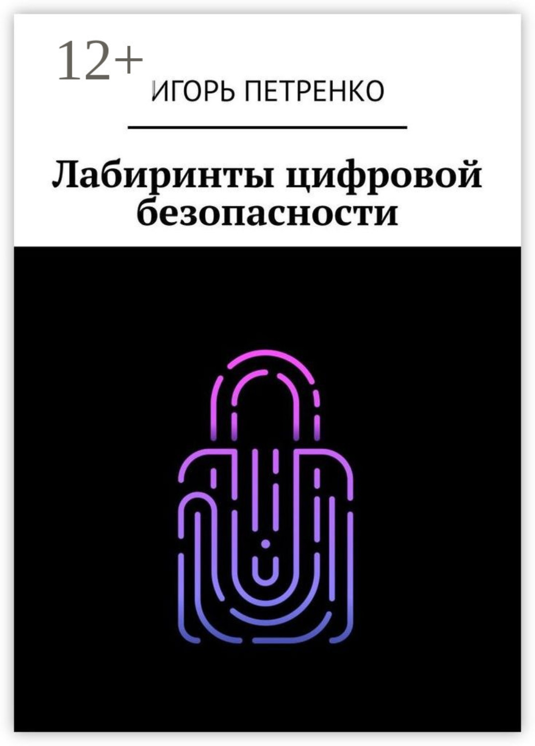 Обложка книги «Лабиринты цифровой безопасности»
