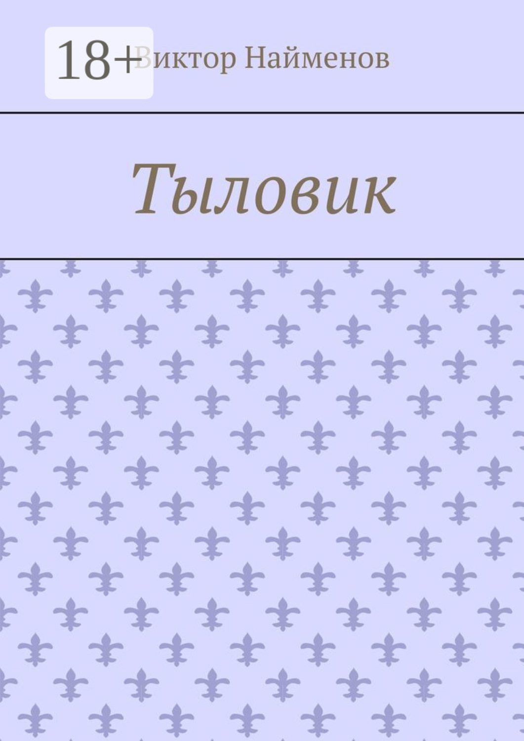 Обложка книги «Тыловик»