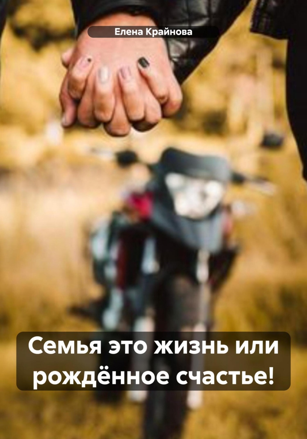 Обложка книги «Семья это жизнь или рождëнное счастье!»